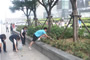 令人欣慰的是本次活動(dòng)還吸引了一些年輕的環(huán)保志愿者參加。