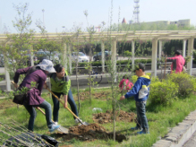 永旺煙臺(tái)購(gòu)物中心2014植樹(shù)季,愛(ài)心植樹(shù)活動(dòng)