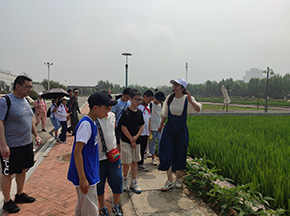 永旺七色花體驗營—走進(jìn)海水稻研發(fā)基地 珍惜糧食做光盤行動的倡導(dǎo)者