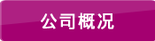 公司概況