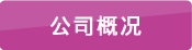 公司概況