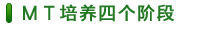 MT培養(yǎng)四個(gè)階段