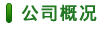 公司概況