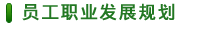 員工職業(yè)發(fā)展規(guī)劃